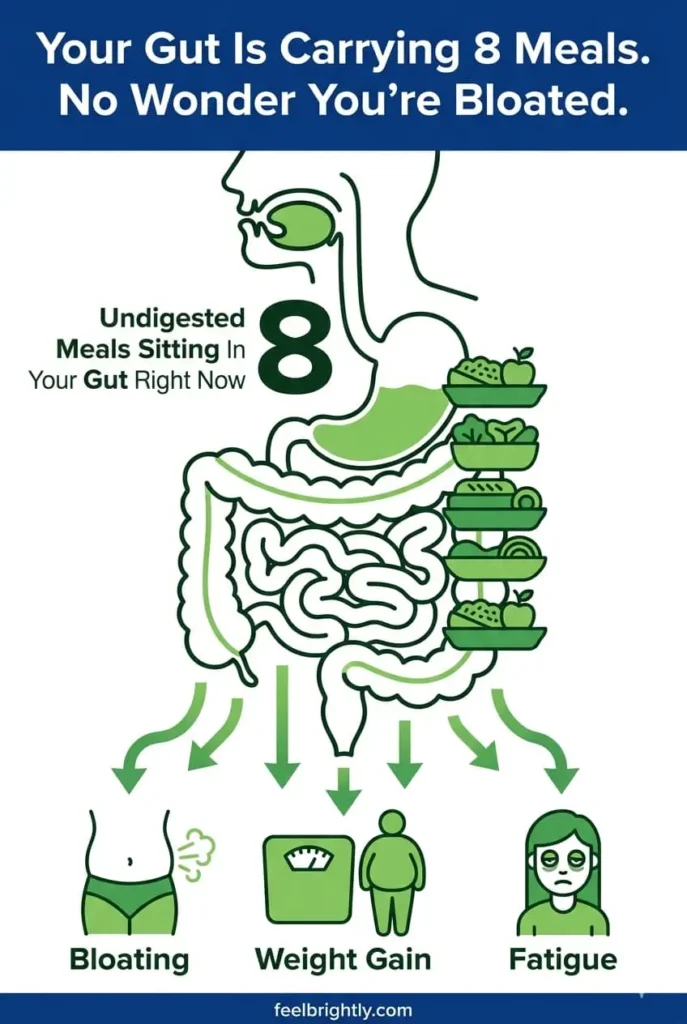 Flat vector infographic showing digestive system carrying 8 undigested meals with bloating and fatigue icons